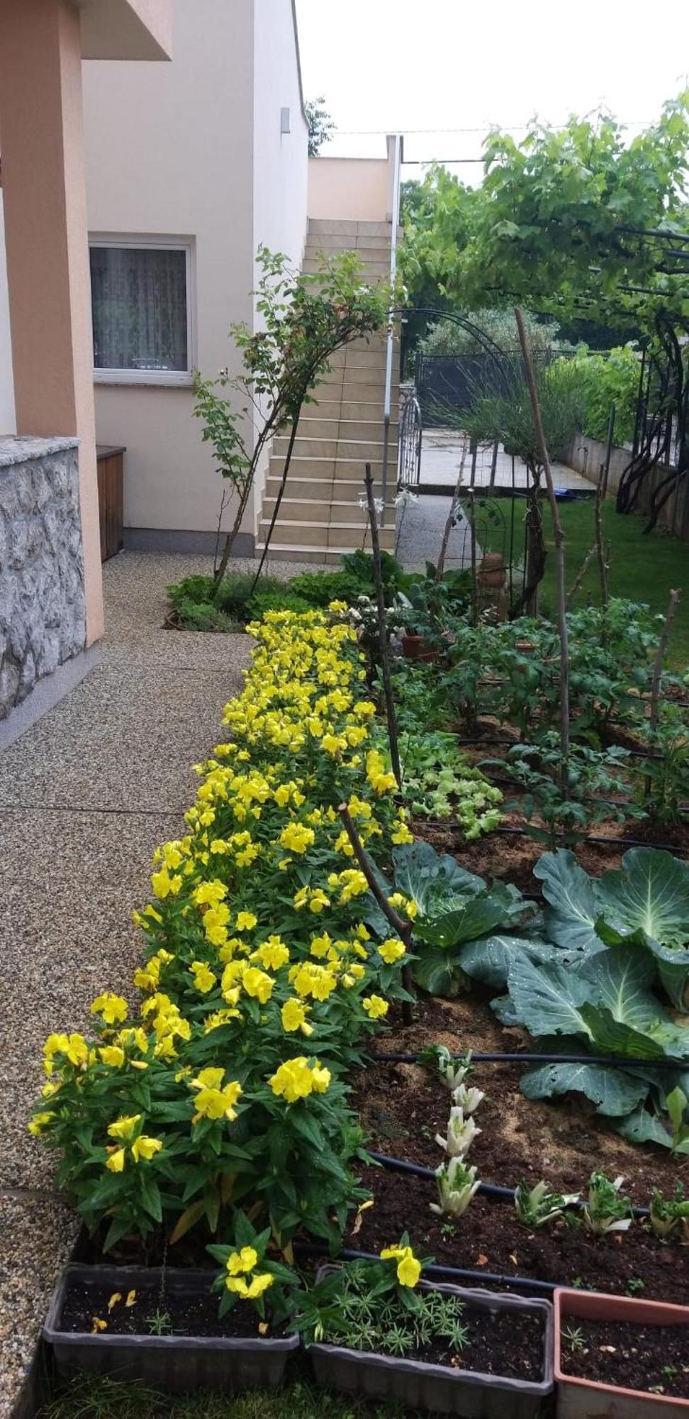 Apartmani Anita Малинська Екстер'єр фото